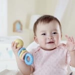 Japanese Rice Made - Rattle & Teether Collection - Hape - BabyOnline HK