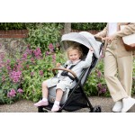 Joie - Parcel Signature Baby Stroller (Carbon) - Joie - BabyOnline HK