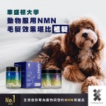 TimePlus + Anti-Aging Supplement NMN for Large Dog with Joint Support Formula (60 capsules) - TimePlus + - BabyOnline HK