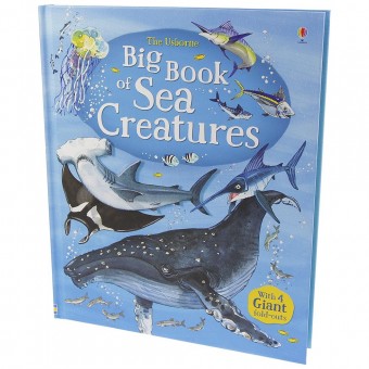 The Usborne Big Book of Sea Creatures